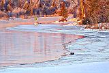 Otter On Ice At Sunrise_P1020772.4